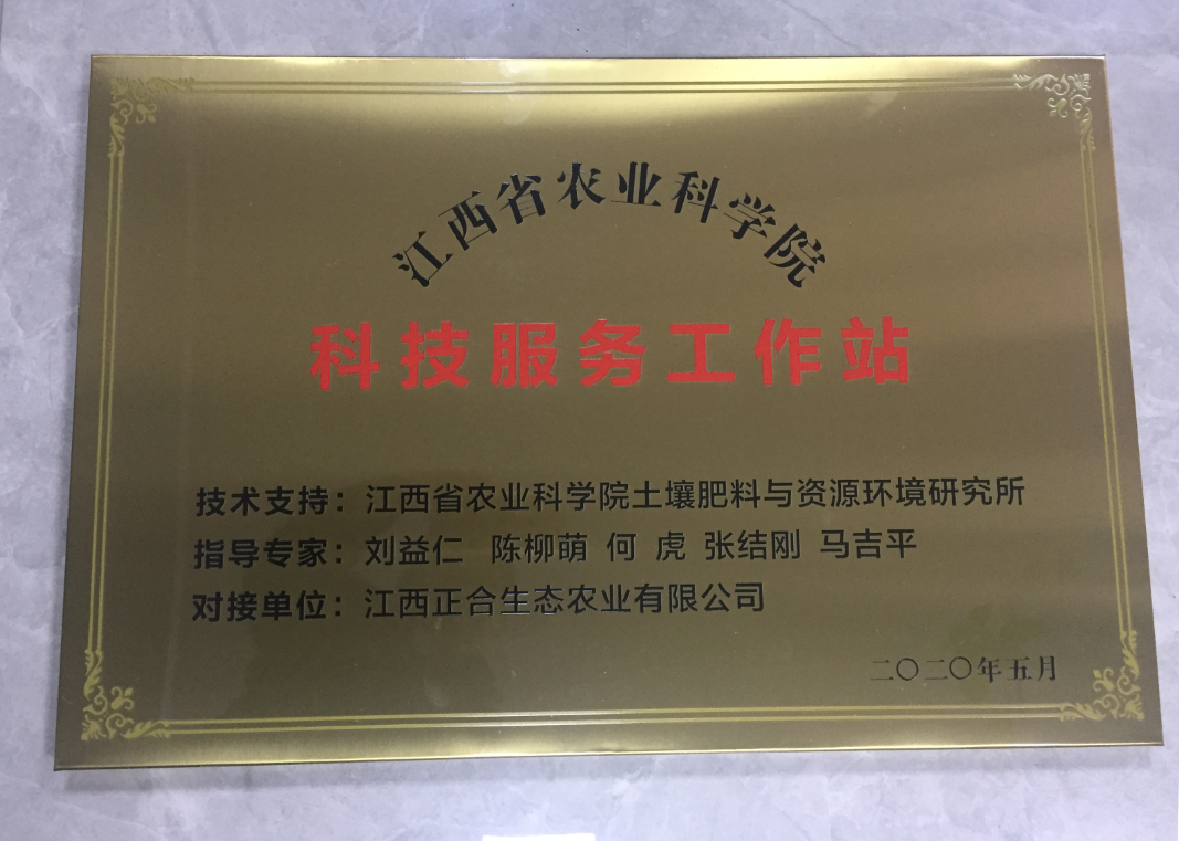 菲彩国际·(中国区)有限公司官网